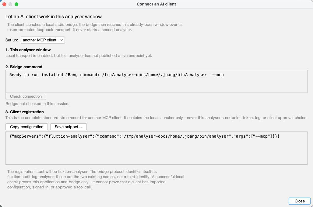 The generated generic MCP client record, using a neutral isolated documentation home